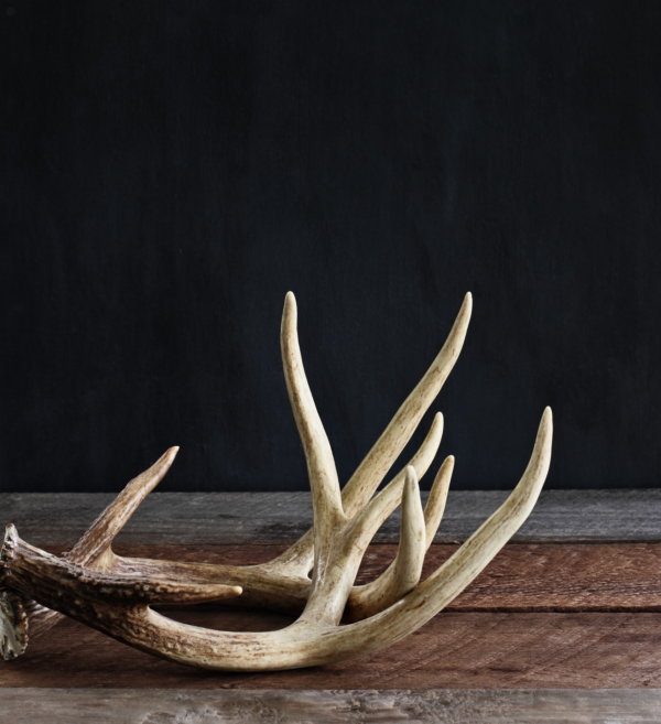 antler 3